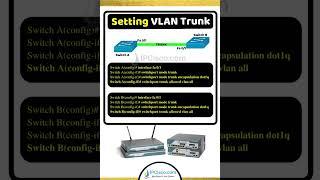 VLAN Trunk Config on Cisco Switches | VLAN Trunk Example! | IPCisco.com