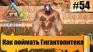 ARK Survival Evolved - Как поймать Гигантопитека #54