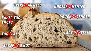 7 Sourdough Mistakes to Avoid by Reading Your Crumb