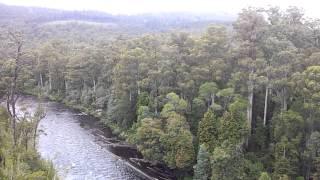 Tahune Forest Airwalk