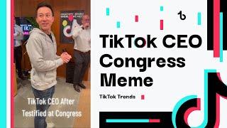 TikTok CEO Congress meme | TikTok Trends Compilation