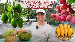 The Biggest Tropical Fruit Tree Nursery In Florida