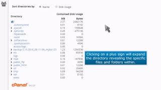 cPanel: How to Use the Disk Usage Viewer