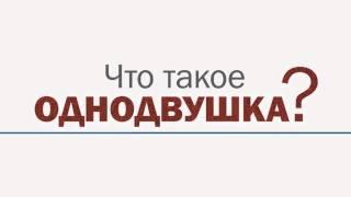 Брусника_однодвушка_тизер