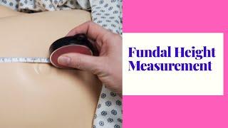 HOW TO MEASURE FUNDAL HEIGHT/SKILL DEMO