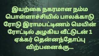 பொள்ளாச்சி பாலக்காடு ரோடு இராமபட்டிணம் மெயின் ரோட்டில் வீட்டுடன் 1 ஏக்கர் தென்னந்தோப்பு விற்பனைக்கு