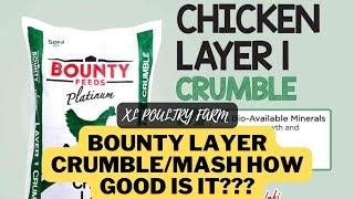 BOUNTY LAYER 1 CRUMBLE/MASH FOR OUR LAYERS. HOW GOOD IS IT???  XL POULTRY FARM  & SUPPLIES 