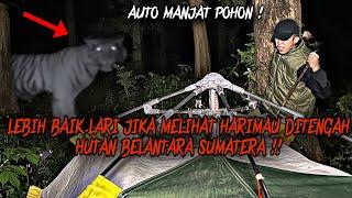 CAMPING HORROR : MENDING LARI JIKA BERTEMU SOSOK HARIMAU SUMATERA GAIB INI  DI PEDALAMAN HUTAN !!