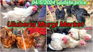 Uluberia Murgi Market.Uluberia Petmarket 4/5/24 price update today lowest price market#cheapestprice