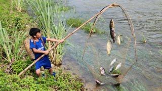 Using primitive tools to catch fish during the flood season, Bac went to the salon to get a haircut.