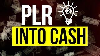 (New Strategy) How to Use PLR Products to Make Money?