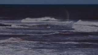 Weather - Understanding Tides / Currents - Bay of Fundy   Tides   New Brunswick, Canada