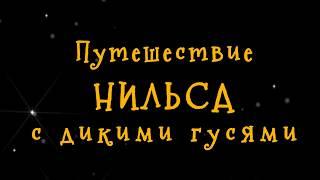 Путешествие Нильса - Театр "Радость" (Хьюстон)