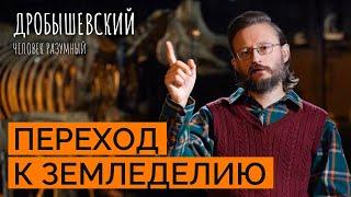 Как возникло сельское хозяйство и земледелие? // Дробышевский. Человек разумный