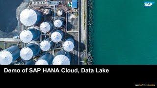 Demo of SAP HANA Cloud, Data Lake