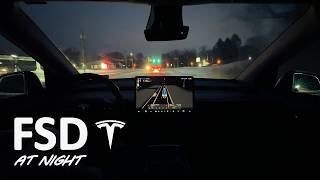 Tesla FSD at Night, Driver's Delight