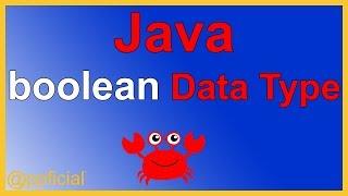 Java Boolean Data Type by Example - TRUE or FALSE -  Easy Java Tutorials - Appficial