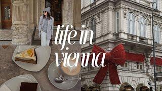 LIFE IN VIENNA | Christmas Market Schönbrunn, Korean Restaurant RM of BTS visited, Café Hopping