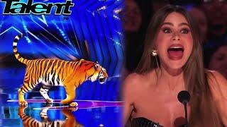 Americas Got Talent Animal Magic: AGT Animal Transformation