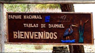 Parque Nacional de las Tablas de Daimiel