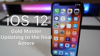 iOS 12 - Gold Master Date, Updating to the final and more