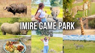 Imire Game Park | Imire Rhino & Wildlife Conservation #travelvlog  #zimbabwe #livinginzimbabwe