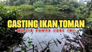 MANCING IKAN TOMAN PAKAI PENCIL