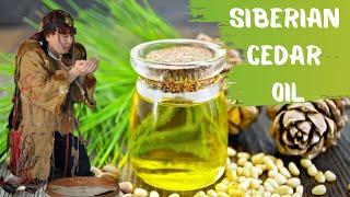 One of the Best Medicine:  Siberian Cedar Oil (Pínus sibírica)