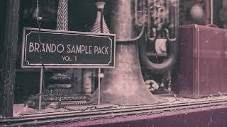 FREE 2020 brando sample pack vol. 1 - Cubeatz x Frank Dukes x Pvlace Type Samples | Sample Pack