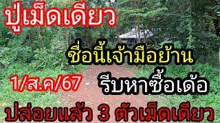 25 ปู่เม็ดเดียวฟันธง 3 ตัวตรงๆ