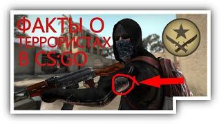 FACTS ABOUT TERRORISTS IN CS:GO
