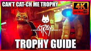 STRAY Cant Cat-ch Me Trophy / Achievement Guide [4k 60fps]