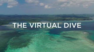 Saving the World’s Coral Reefs, One Virtual Dive at a Time