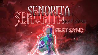 Senorita | BEAT SYNC | PUBG Montage 