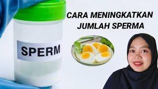 CARA MEMPERBANYAK SPERMA MENINGKATKAN JUMLAH SPERMA