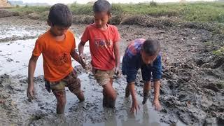 Amazing cute little boy fishing videohand fishing videofishing video in village pond #shorts#fish