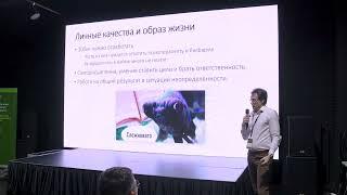 Каково это - зарабатывать 300кк/наносек?  Иннокентий Солнцев