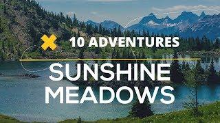 Sunshine Meadows Hike Planner | Best Family Hikes near Banff, Alberta in Banff National Park