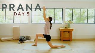 Prana - Day 5