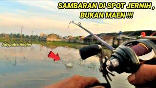 CASTING GABUS / HARUAN UMPAN SOFT FROG 3,5 CM HITAM !! CASTING GABUS DI SPOT PERSAWAHAN