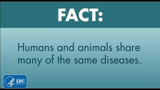 One Health Facts: Humans and Animals Share Diseases