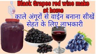 Black Grapes Wine make at home. Desi Shrab & food recipes