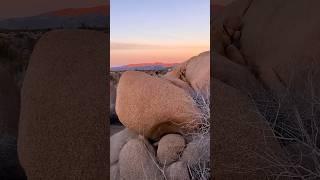 Sunset at Joshua Tree National Park #rock #sunset #rockclimbing #desert #explore #beautiful