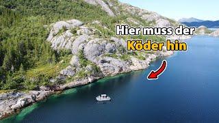 Riesen Pollack aus dem Fjord - So klappt´s an der Steilküste