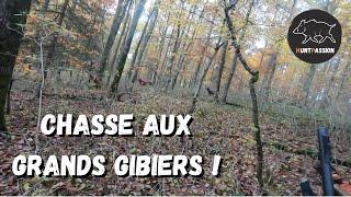 Chasse aux grands gibiers - Dans la traque ! #1