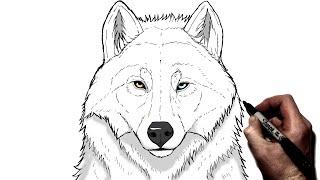 How to Draw A Wolf | Step By Step