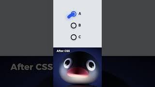 Before After CSS Radio #memes #coding #css