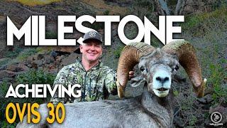 SHEEP HUNTING // Elite Milestone Cremnobates Desert Sheep  // Harlan Hunts // OVIS 30/30