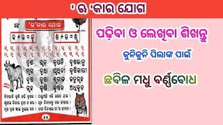 ଋ କାର ଯୋଗ  | ru kara joga odiabarnadodha | odia typing  | roo kara matra |rukaramatra