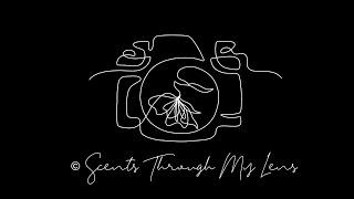 #0. Introduction SCENTS THROUGH MY LENS #ScentsThroughMyLens #teaser #YoutubeChannel #shorts